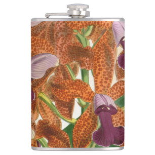 Cattleya Guttata Leopoldii Vintage Lindenia Orchid Flask