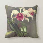 Cattleya Hybrida Arnoldiana Orchid throw pillow Cattleya Hybrida Arnoldiana Orchid throw pillow