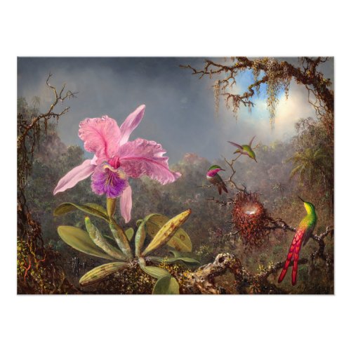 Cattleya Orchid and Three Hummingbirds by Heade Photo Print