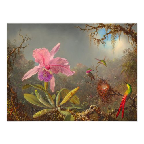 Cattleya Orchid and Three Hummingbirds Heade Photo Print