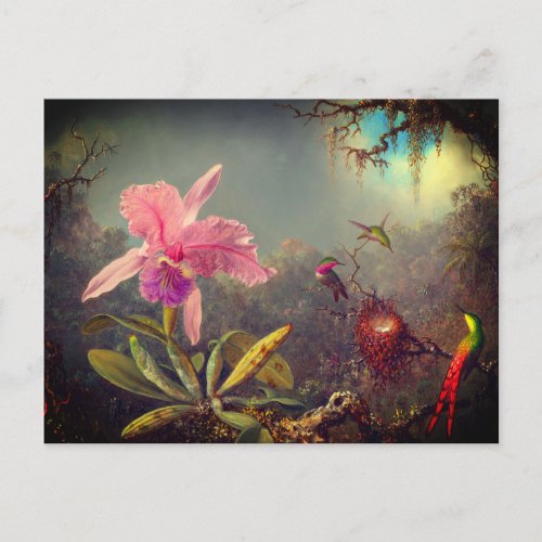 Cattleya Orchid and Three Hummingbirds Heade Postcard