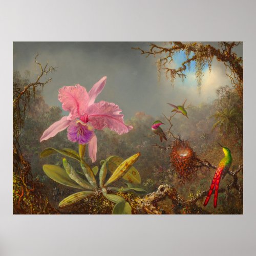 Cattleya Orchid and Three Hummingbirds Heade Poster