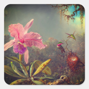 Cattleya Orchid and Three Hummingbirds Heade Square Sticker