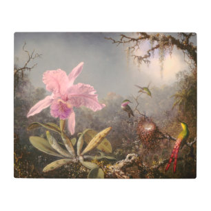 Cattleya Orchid and Three Hummingbirds Metal Print