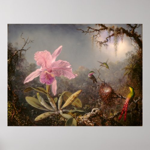 Cattleya Orchid and Three Hummingbirds Poster