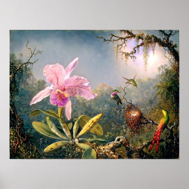 Cattleya Orchid and Three Hummingbirds Poster (Front)