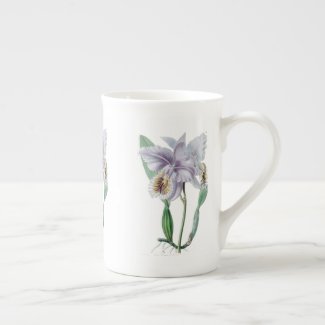 Cattleya Orchid Botanical Bone China Mug