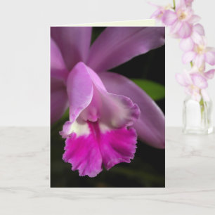 Cattleya Orchid Card