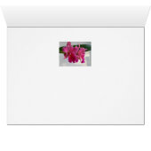 Cattleya Orchid Cards (Inside Horizontal (Bottom))