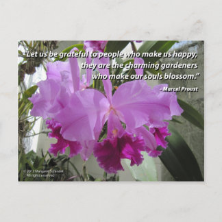 Cattleya Orchid Love and Friendship Postcard