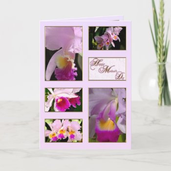 Cattleya Orchid Mother's Day Greeting Card by CreativeCardDesign at Zazzle