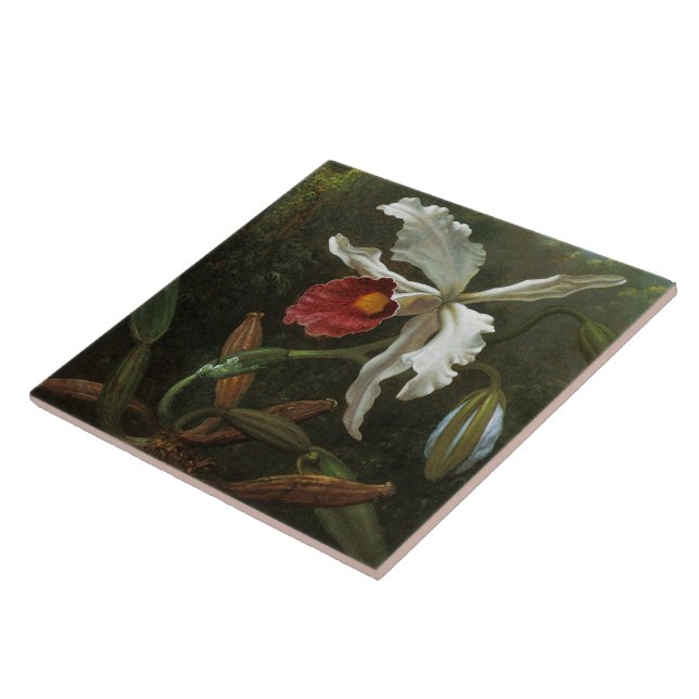 Cattleya Orchid tile (Side)