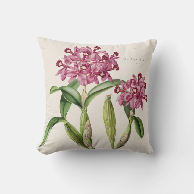 Cattleya skinneri Orchid Botanical 1842 by Bateman Throw Pillow (Front)