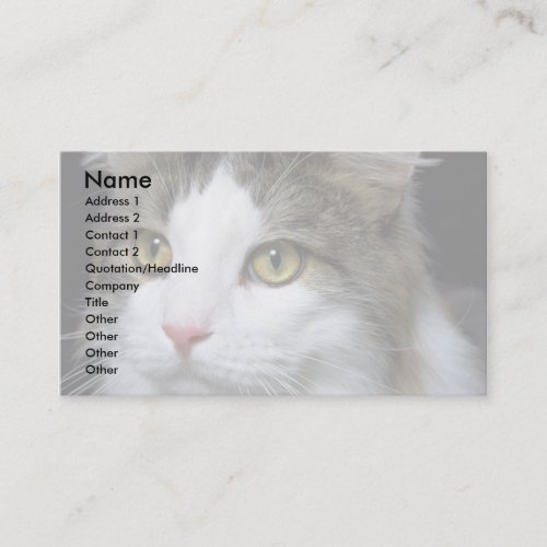 Catty Business Card Template
