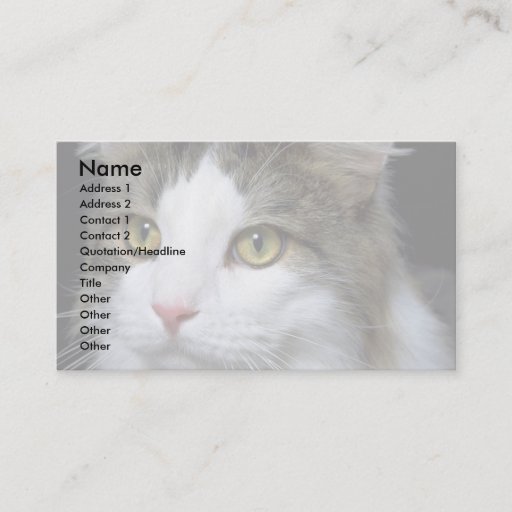 Customizable Catty Business Card Template