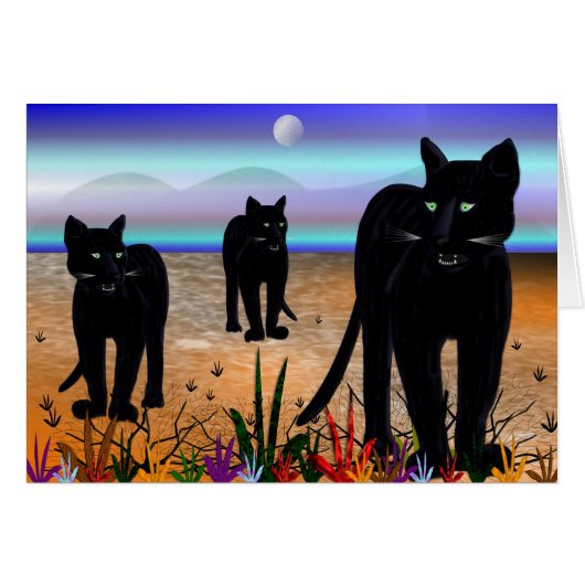 CATWALK CARDS (Front Horizontal)
