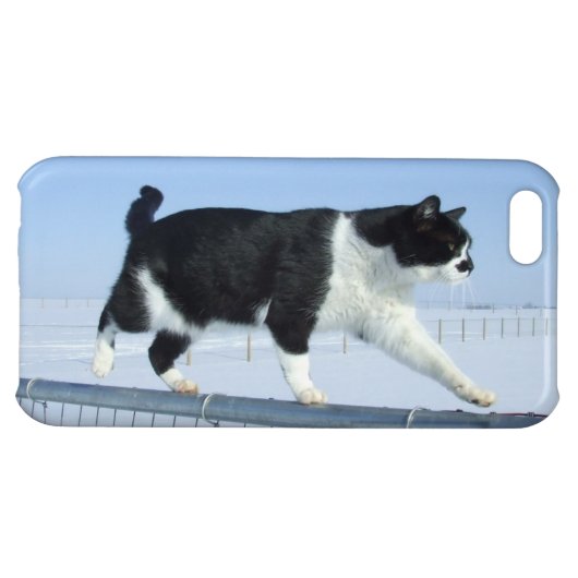 "Catwalk" iPhone 5c Case (Back Horizontal)