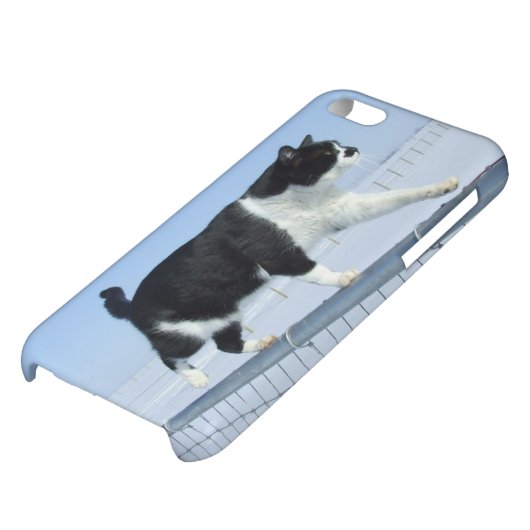 "Catwalk" iPhone 5c Case (Bottom)