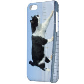 "Catwalk" iPhone 5c Case (Back Left)