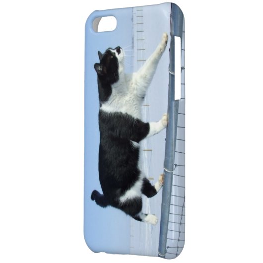 "Catwalk" iPhone 5c Case (Back Left)