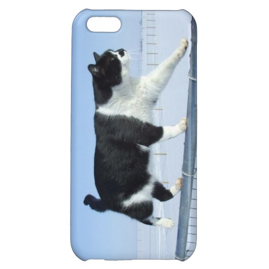 "Catwalk" iPhone 5c Case (Back)