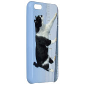 "Catwalk" iPhone 5c Case (Back Right)