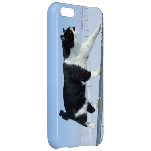 "Catwalk" iPhone 5c Case (Back Right)