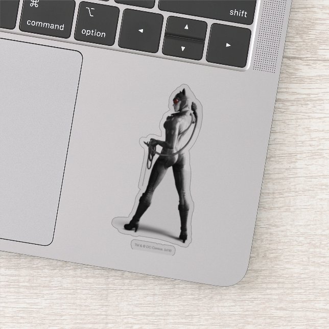 Catwoman With Whip Sticker (Detail)