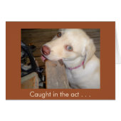 Caught in the Act of Loving You Yellow Lab (Front Horizontal)