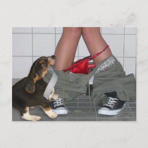 Caught with My Pants Down Again Cute Puppy Dog Postcard