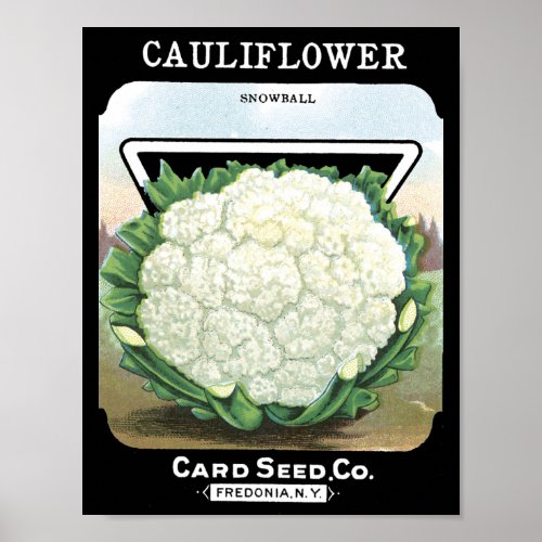 Cauliflower Card Seed Co packet Fredonia NY Poster