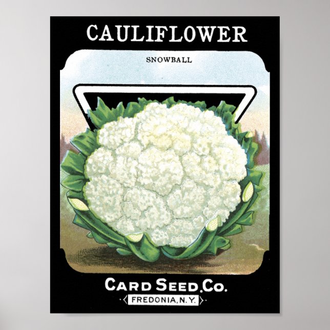 Cauliflower Card Seed Co. packet Fredonia, NY Poster (Front)