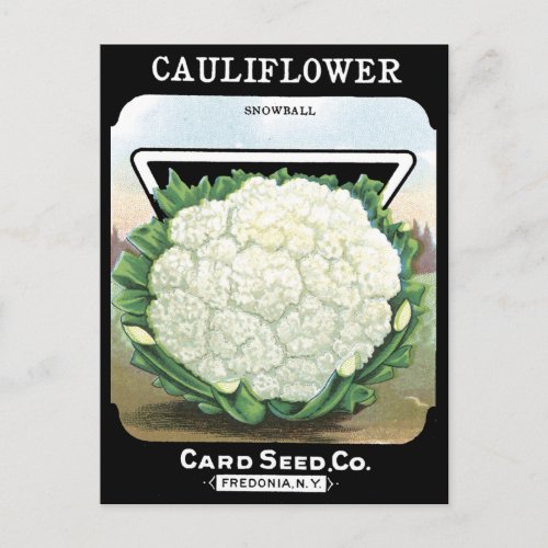 Cauliflower Seed Packet White Vegetable Garden Postcard