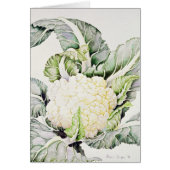 Cauliflower Study 1993 (Front)