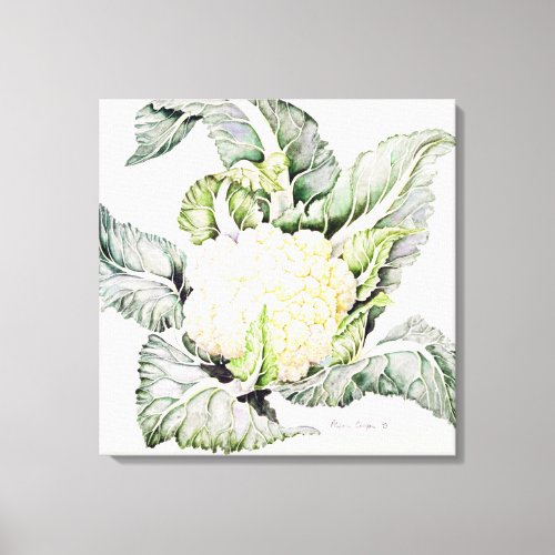 Cauliflower Study 1993 Canvas Print