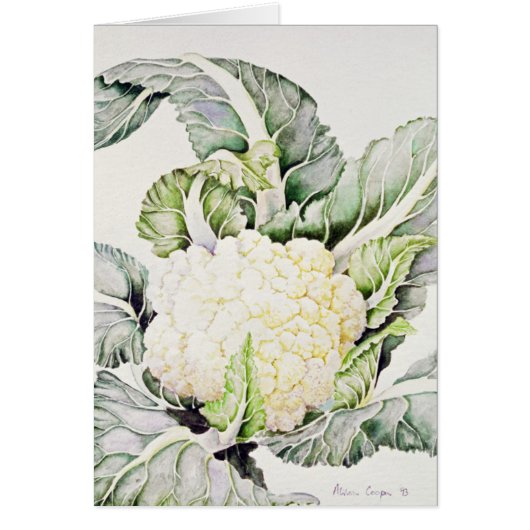 Cauliflower Study 1993 Cards (Front)