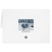 Caumasee (Back Horizontal)