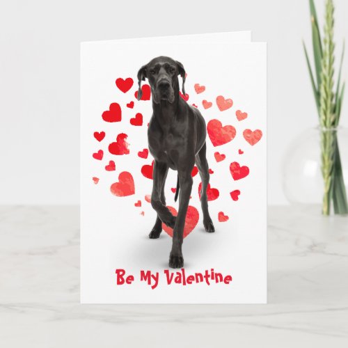Cause I Woof Love You Great Dane Dog Valentine Holiday Card