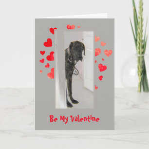Cause I Woof Love You Great Dane Dog Valentine Holiday Card