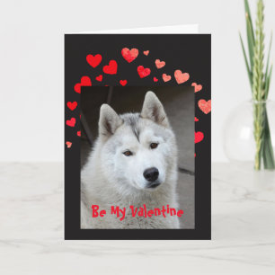 Cause I Woof Love You Husky Dog Valentine Holiday Card