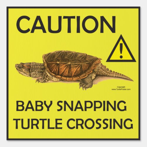 Caution Baby Snapping Turtle Crossing Sign