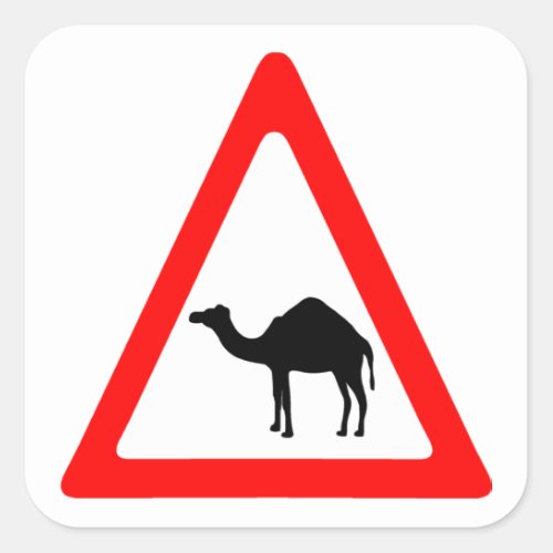 Caution Camel Crossing Traffic Sign Square Sticker