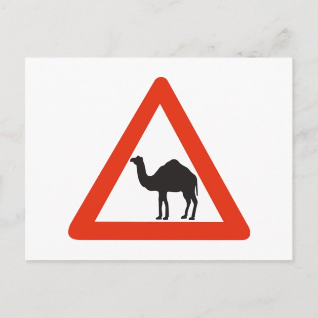 Caution Camels, Traffic Sign, United Arab Emirate Postcard (Front)