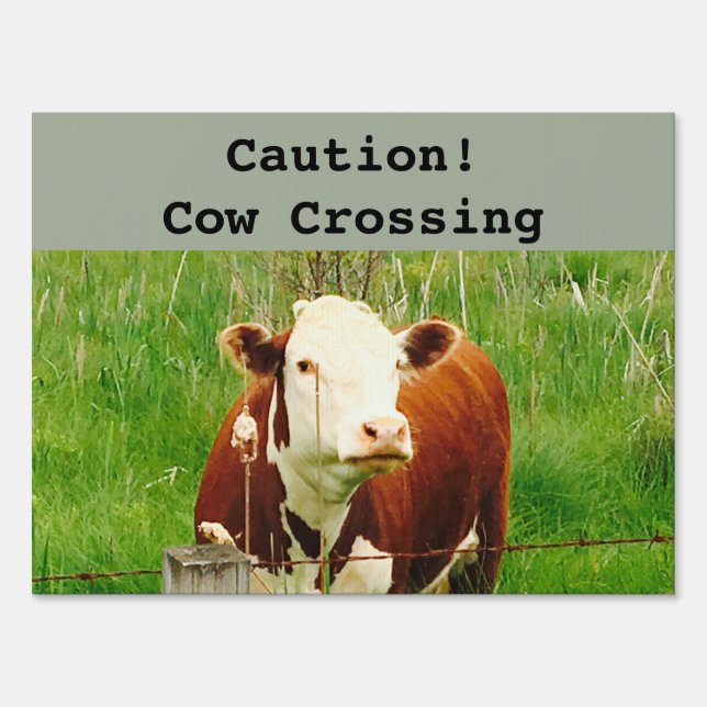 Caution! Cow Crossing Brown Med 18"x24" Yard Sign (Front)