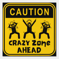 CRAZY ZONE