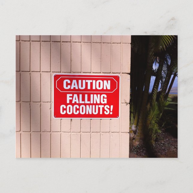 Caution - Falling Coconuts! Postcard (Front)