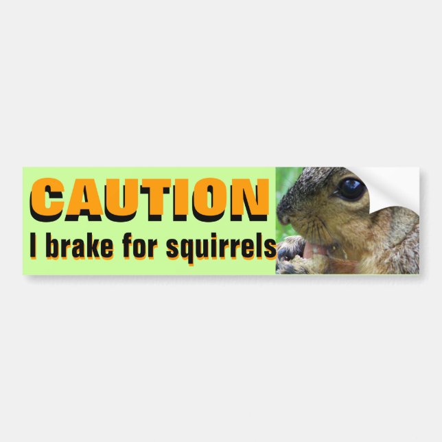 CAUTION: I BRAKE FOR SQUIRRELS bumper sticker (Front)