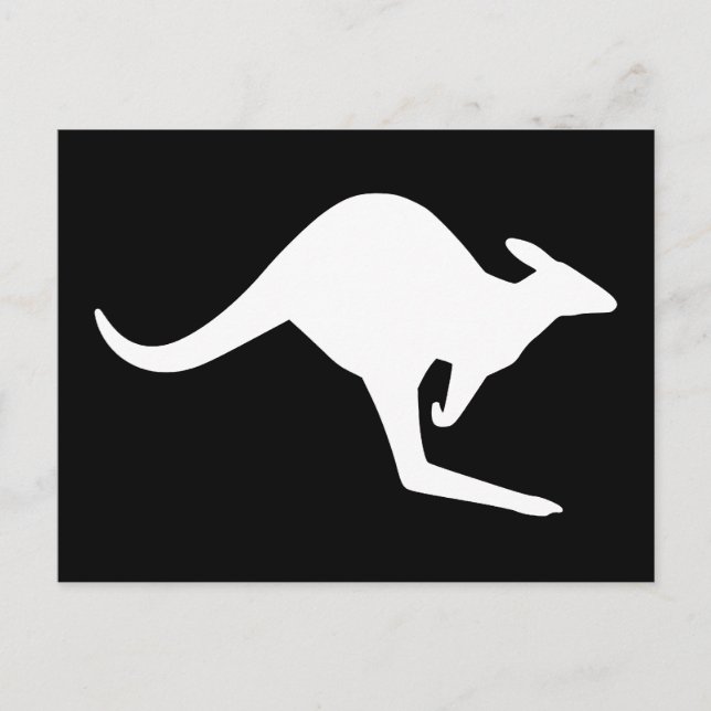 Caution Kangaroo Postcard (Front)