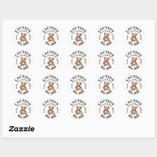 CAUTION new Grandma alert- Teddy Baby Announcement Classic Round Sticker
