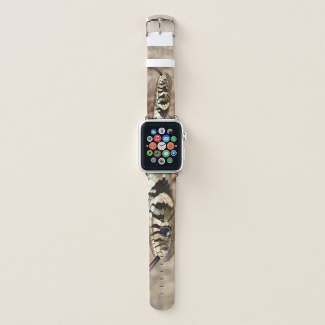 Caution: snake! apple watch band (Front)